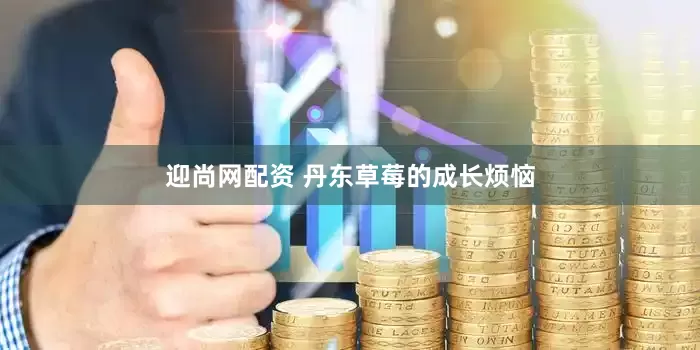 迎尚网配资 丹东草莓的成长烦恼