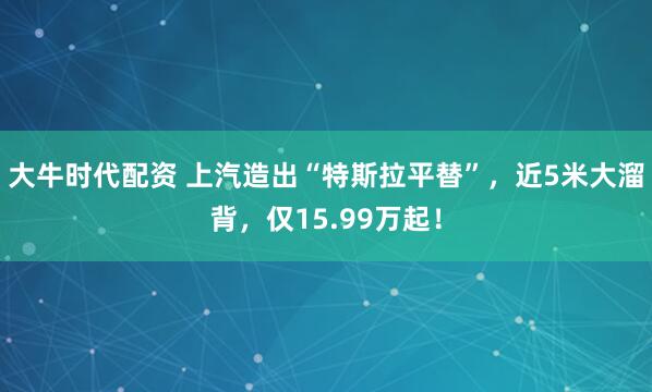 大牛时代配资 上汽造出“特斯拉平替”，近5米大溜背，仅15.99万起！