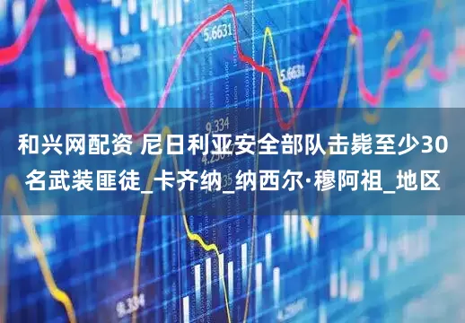 和兴网配资 尼日利亚安全部队击毙至少30名武装匪徒_卡齐纳_纳西尔·穆阿祖_地区