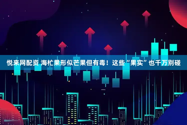 悦来网配资 海杧果形似芒果但有毒！这些“果实”也千万别碰